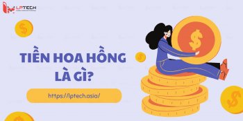 Tiền hoa hồng là gì? Cách tính phần trăm tiền hoa hồng