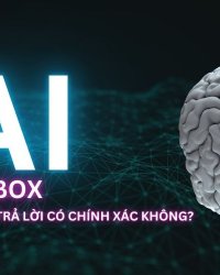 Blackbox AI là gì? Blackbox AI trả lời có chính xác không?